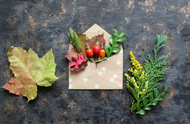 istock Autumn composition. Envelope with dried leaves on pastel brown background. Autumn, fall concept. Flat lay, top view. 1499809361