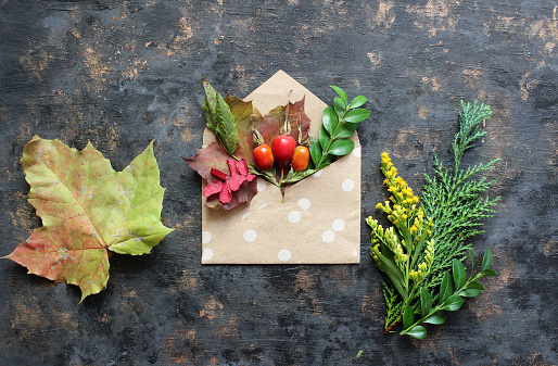 Autumn composition. Envelope with dried leaves on pastel brown background. Autumn, fall concept. Flat lay, top view.
