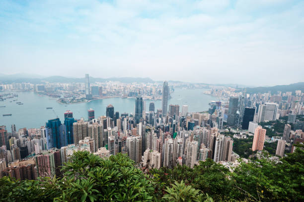 skyline von hong kong cityscape von der lugard road auf dem victoria peak. - victoria peak stock-fotos und bilder