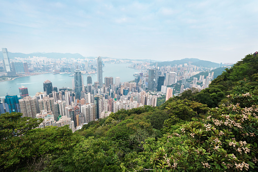 Hong Kong  Cityscape skyline seen from Lugard Road on Victoria Peak. Magneficent high rise architecture and settlements