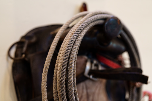 Horse harness close-up. Horse leather harness hanging on the tent.