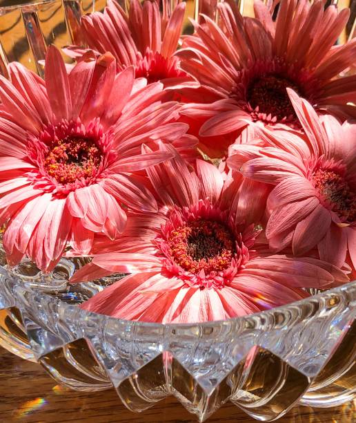 istock Crystal Bowl of Gerbera Daisies 1499811261