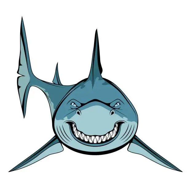 Vector illustration of White shark. Vector illustration of a largest predatory fish. Angry scary smile and teeth.