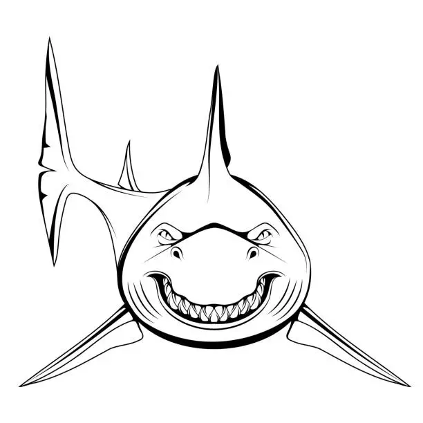 Vector illustration of White shark. Vector illustration of a sketch largest predatory fish. Angry scary smile and teeth.