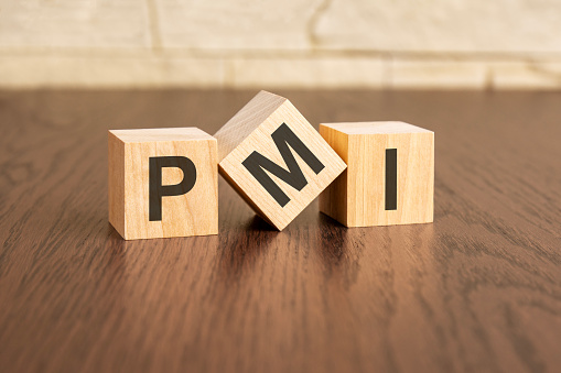 project management institute concept with symbols pmi on wooden cubes, dark wooden background