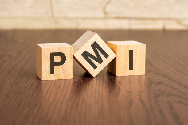концепция института управления проектами с условными обозначениями pmi на деревянных блоках - palmtop стоковые фото и изображения