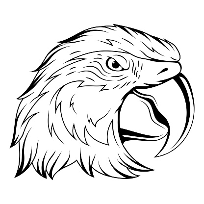 Parrot. Vector illustration of a sketch angry tropical bird. Ara parrot