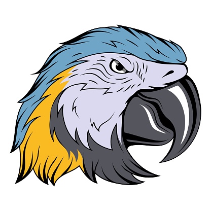 Parrot. Vector illustration of a angry tropical bird. Ara parrot