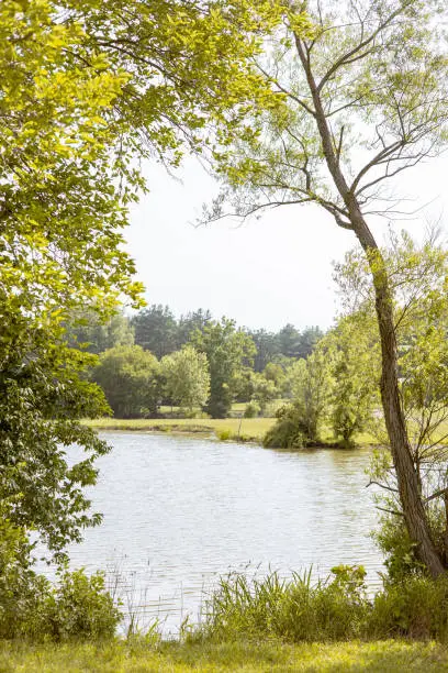 Photo of Frank Merry Park