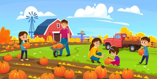 Family with children harvesting pumpkins on a pumpkin patch farm for holidays Poster of a family with children harvesting pumpkins on a pumpkin patch farm, happy boys and girls helping mom and dad pick them up from the field before the holidays. Cartoon vector illustration family pumpkin patch stock illustrations