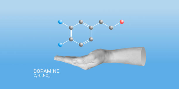 istock Dopamine neurotransmitter molecule. Skeletal dopamine formula over the human hand. Neurochemical processes related to emotion, mood, satisfaction, motivation, and reward. Minimalist Art Collage 1499818408