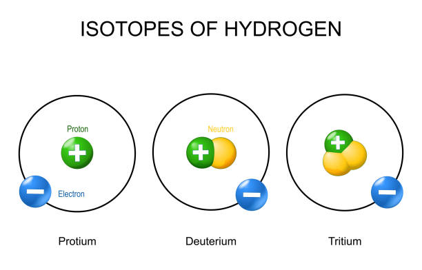 ilustrações, clipart, desenhos animados e ícones de átomo de hidrogênio e isótopos - célula alfa