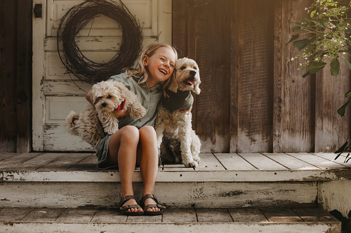 A beautiful little girl, eight years old, laughs as she snuggles with her puppies.