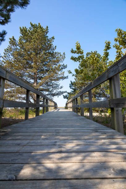 istock Path to the Beach at Inverhuron, Ontario 1499822508