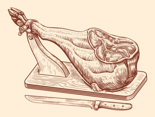 木製スタンドのハム脚。肉農場の豚肉彫刻イラストベクター画像。スペインのハモン手描きスケッチ - meat butchers shop raw market点のイラスト素材／クリップアート素材／マンガ素材／アイコン素材