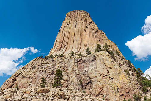 Devils Tower rock formation in summer, Devils Tower national monument, Wyoming, USA.