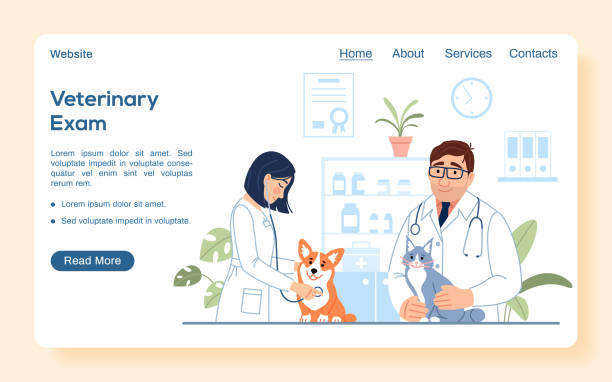 bildbanksillustrationer, clip art samt tecknat material och ikoner med male, female veterinarians with dog and cat examining cute animals on pet hospital background. veterinary exam landing page. flat line website template. vet clinic internet page vector illustration. - veterinär, undersökning