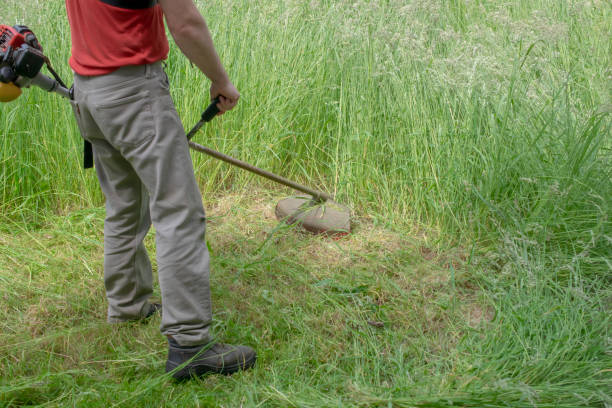 istock mowing tall grass with a brushcutter 1499835273