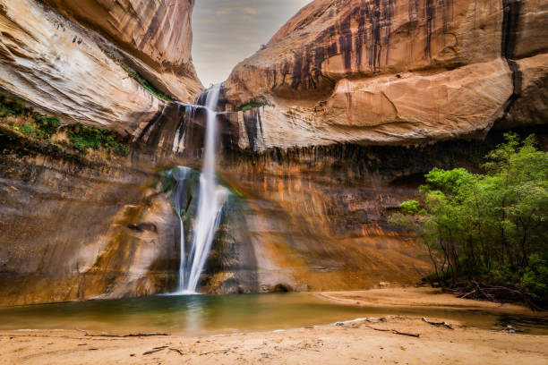 istock Vertical waterfall that flows into a small green lake. Upper Calf Creek Falls Capitol Reef National Park Utah. 1499841284