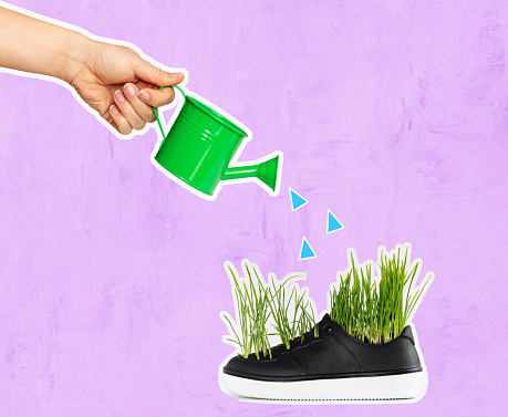Cut out style, art photo collage, hand with watering can watering the green grass growing from shoes, gardening, environment conservation.