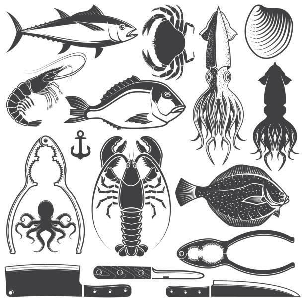 ilustrações de stock, clip art, desenhos animados e ícones de set of seafood silhouettes flat icons silhouettes. marine animal shapes. underwater world. set include kitchen knife, shell, mollusk, mussels, octopus, squid, crab, tuna, lobster , shrimp, dorado, octopus, crab, flounder, mussels and clams. - lobster cracker