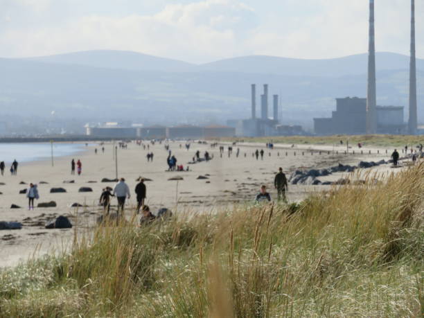 Bull island Dublin stock photo