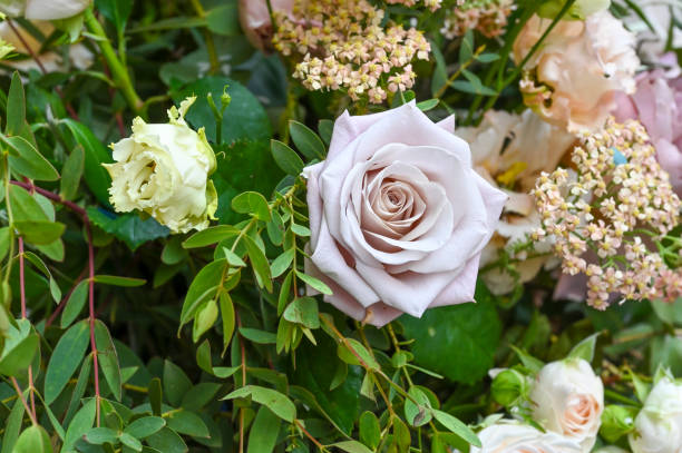 istock Composizione di fiori 1499851654