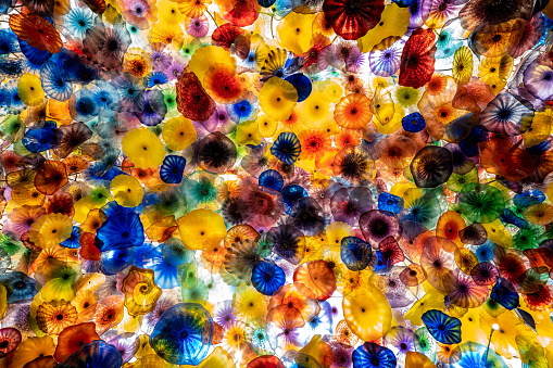 A vibrant and colorful glass artwork in Chihuly displayed in an illuminated space