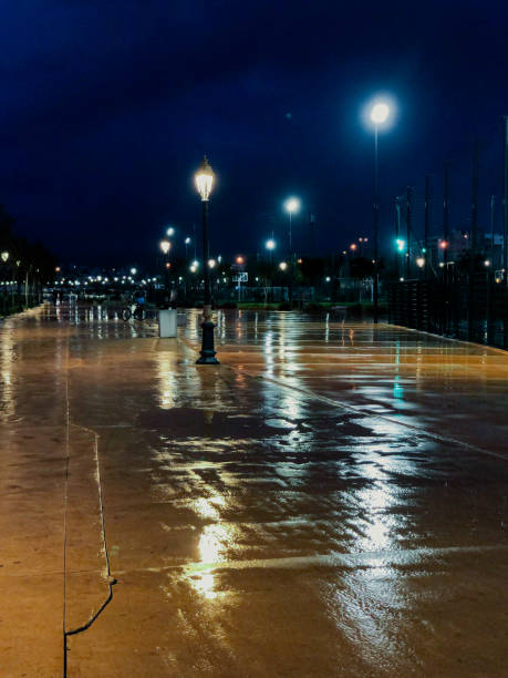 istock Refreshing and invigorating rainy evening walk through a public park, immersing in the peaceful serenity of nature beauty 1499858839