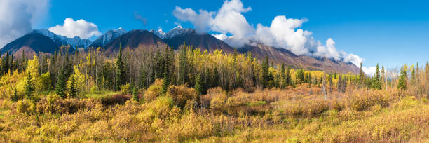 istock Scenic landscape views in Yukon Territory, Canada in panorama, panoramic view 1499861995