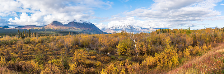 Panoramic view of Yukon Territory landscape during fall, autumn season with yellow and orange colours covering the northern landscape in September with mountains, lakes, scenic nature view.
