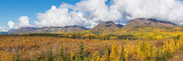 istock Scenic landscape views in Yukon Territory, Canada in panorama, panoramic view 1499862066