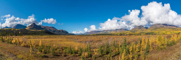 istock Scenic landscape views in Yukon Territory, Canada in panorama, panoramic view 1499862068