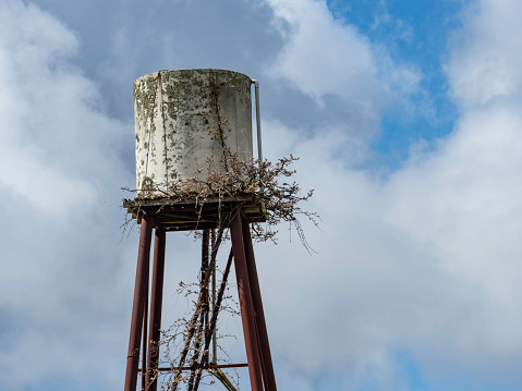 Water tank on tower