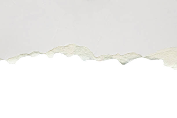 istock White ripped paper torn edges strips isolated on white background 1499868089
