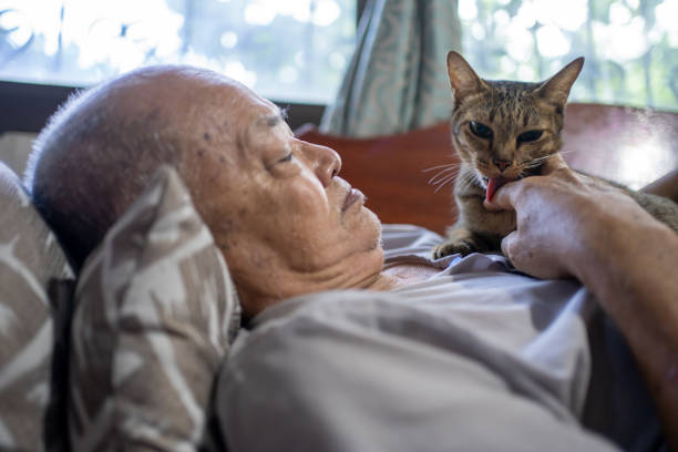 istock Asian elder man relaxes at home with cat. 1499871020
