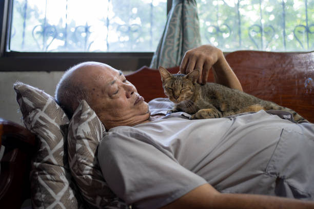 istock Asian elder man relaxes at home with cat. 1499871047