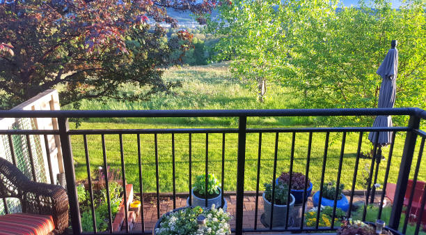 istock Momentary Sunlight On The Garden After A Summer Evening Rain 1499871063
