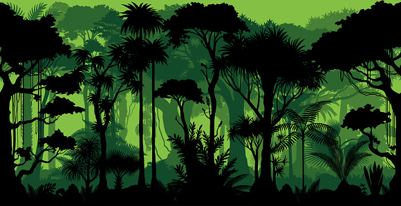 Vector seamless tropical rainforest Jungle background