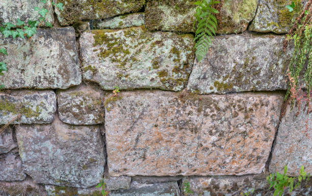 Pattern of ancient bricks and stones at old middle age fortress wall covered with moss, fern and lichen, as a background, closeup, details