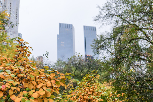 New York’s Central Park in autumn