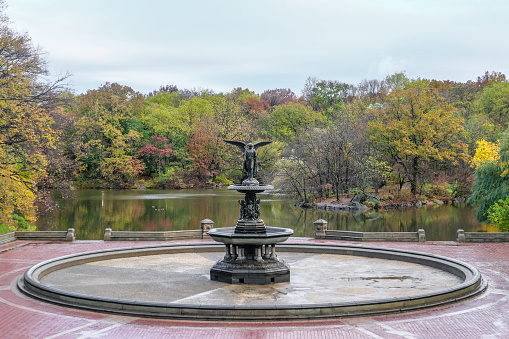 New York’s Central Park in autumn