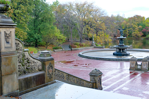 A beautiful fountain in the midst of a spring pond against the backdrop of a picturesque city park, green meadow and flowering chestnuts.