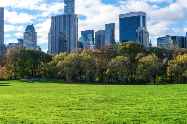 istock Central Park in autumn 1499882318