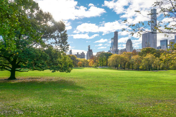 istock Central Park in autumn 1499882422