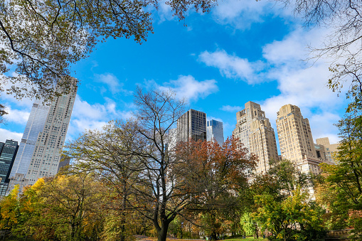 New York’s Central Park in autumn