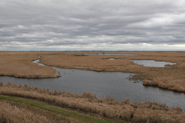 istock Wetland at Oak Hammock Marsh, Manitoba 1499889709