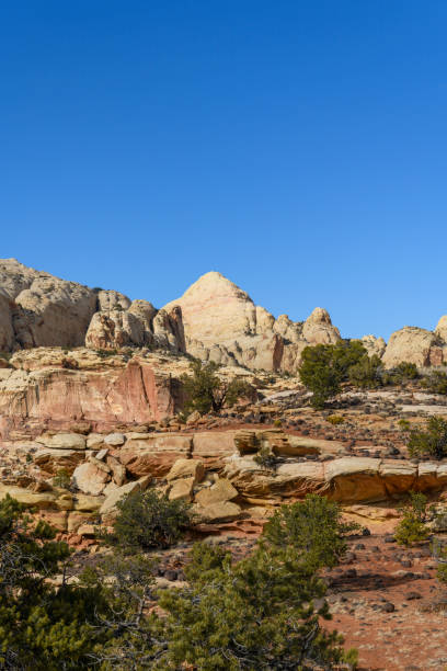 istock Capital Reef National Park 1499895375
