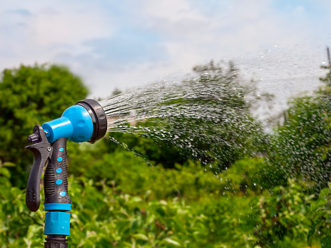 Watering the garden with a sprinkler. Splashes of water on the background of nature