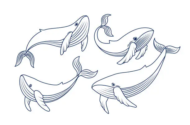 Vector illustration of Vector drawing set with whales